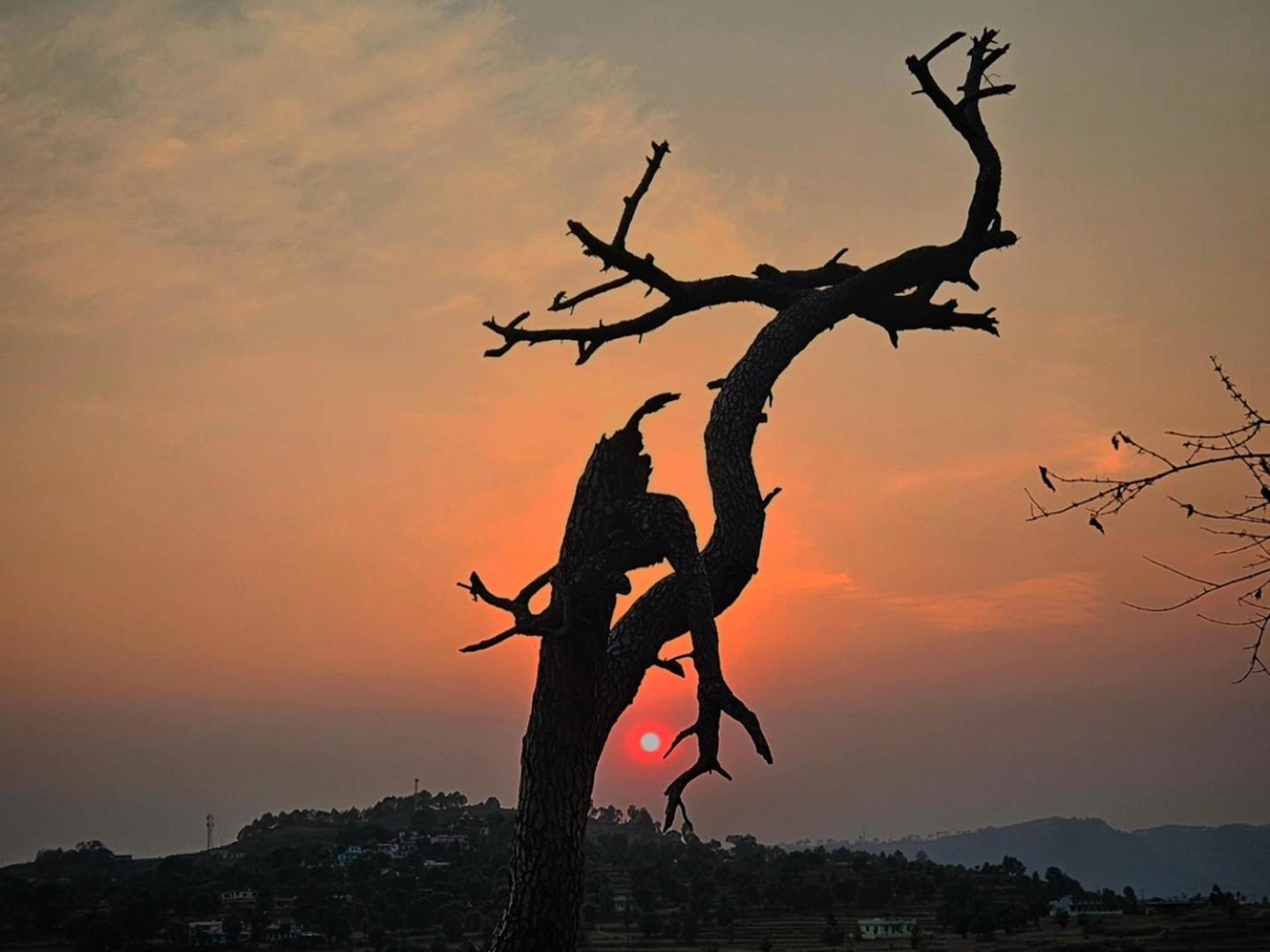 Katyuri Kings Divine Stay- Babaji'S Cave Dwarahat Экстерьер фото